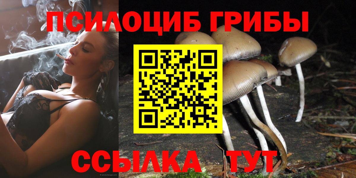 Псилоцибиновые грибы GOLDEN TEACHER  Вход с VPN  цена наркотик  Куйбышев 
